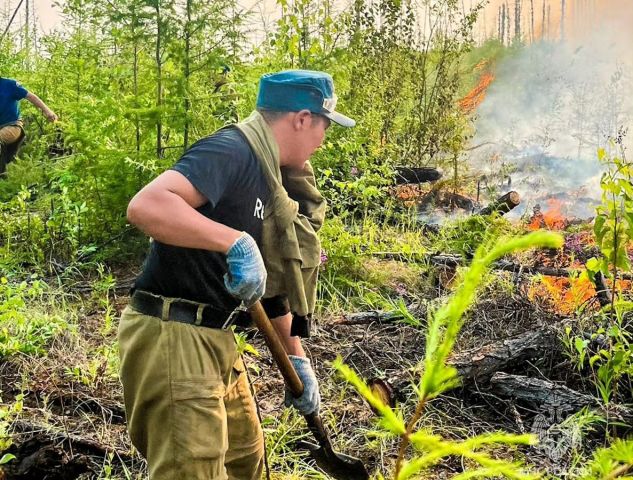 Площадь лесных пожаров в Якутии приближается к миллиону гектар - фото 5