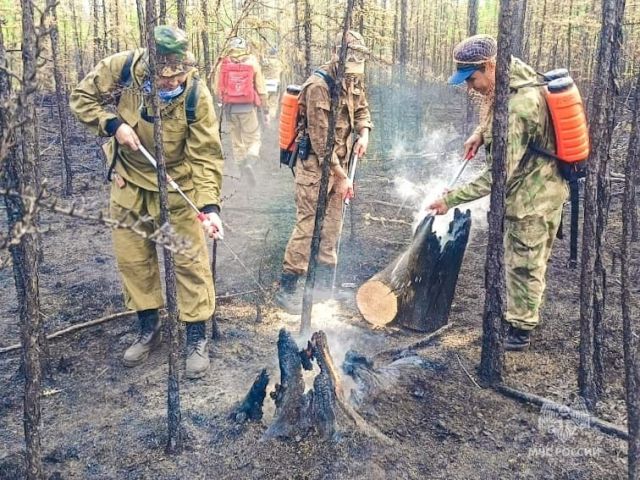 Площадь лесных пожаров в Якутии приближается к миллиону гектар - фото 6