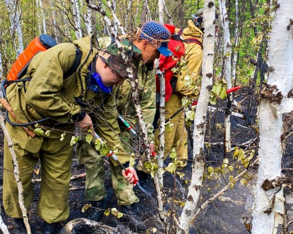 Площадь лесных пожаров в Якутии приближается к миллиону гектар - фото 7