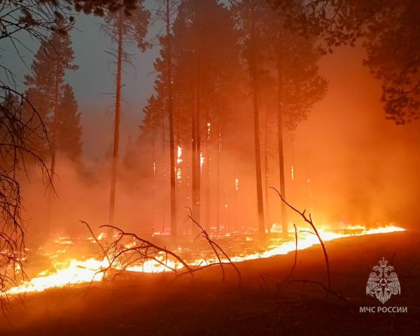 Площадь лесных пожаров в Якутии приближается к миллиону гектар - фото 13