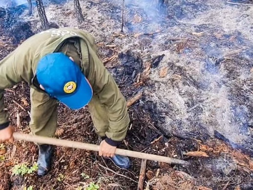 Площадь лесных пожаров в Якутии приближается к миллиону гектар - фото 14