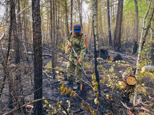 Площадь лесных пожаров в Якутии приближается к миллиону гектар - фото 10