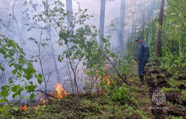 Площадь лесных пожаров в Якутии приближается к миллиону гектар - фото 11