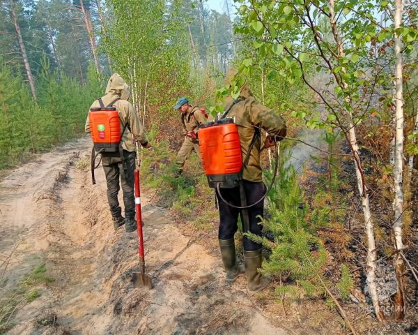 Площадь лесных пожаров в Якутии приближается к миллиону гектар - фото 15