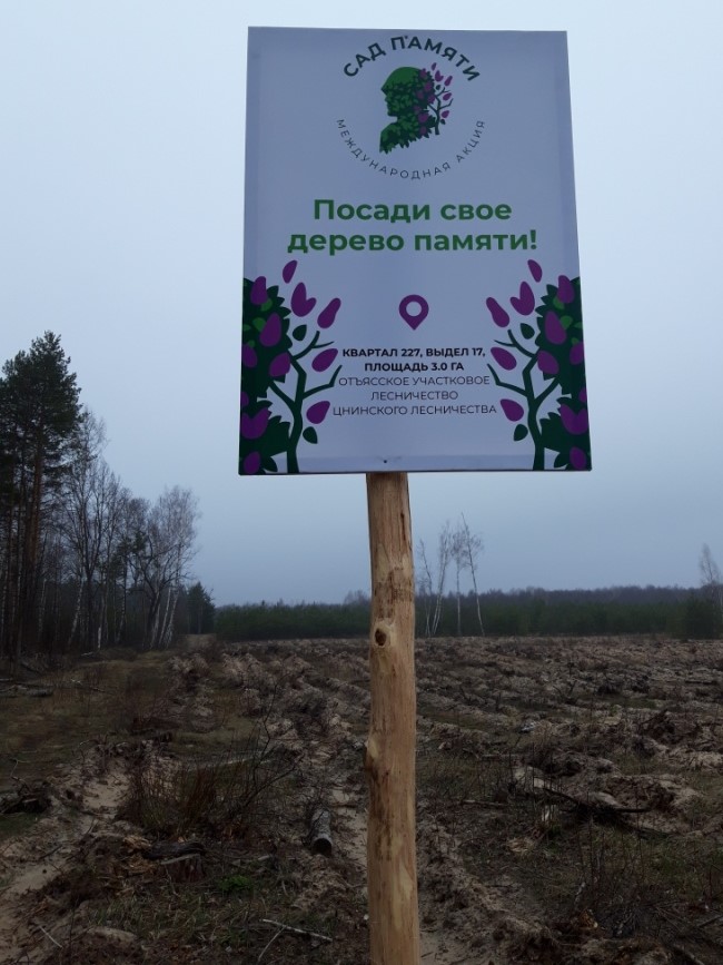 Лесоводы Тамбовщины присоединились к международной акции «Сад памяти» - фото 1