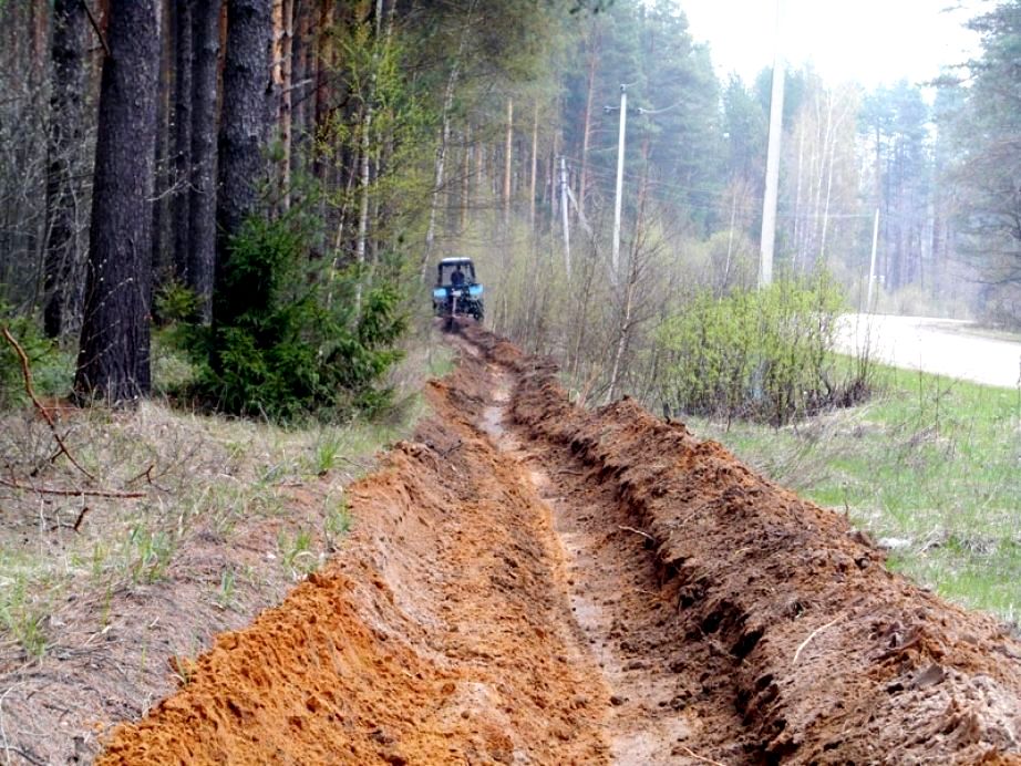За первое полугодие в Калужской области обустроили более тысячи километров минерализованных полос - фото 1
