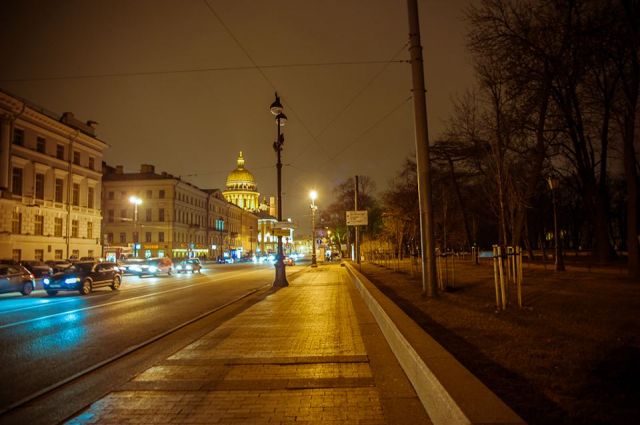"Час Земли" в Санкт-Петербурге. Самые первые фото   - фото 18
