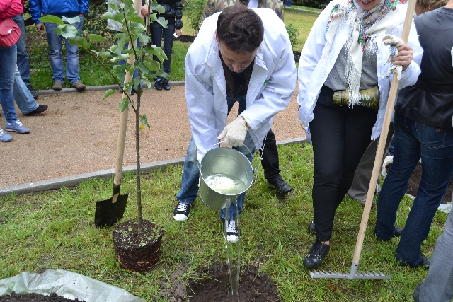 Главный эколог столицы посадил свое тысячное дерево в Москве  - фото 47