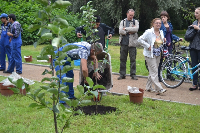 Главный эколог столицы посадил свое тысячное дерево в Москве  - фото 98
