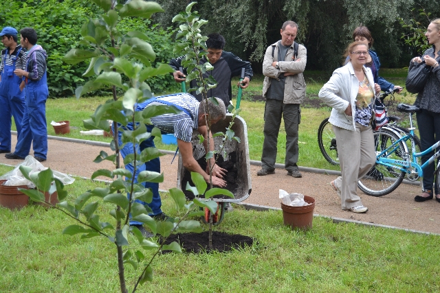 Главный эколог столицы посадил свое тысячное дерево в Москве  - фото 99