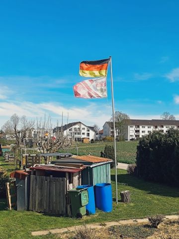 Весна в Германии, не утраченные моменты … - фото 10