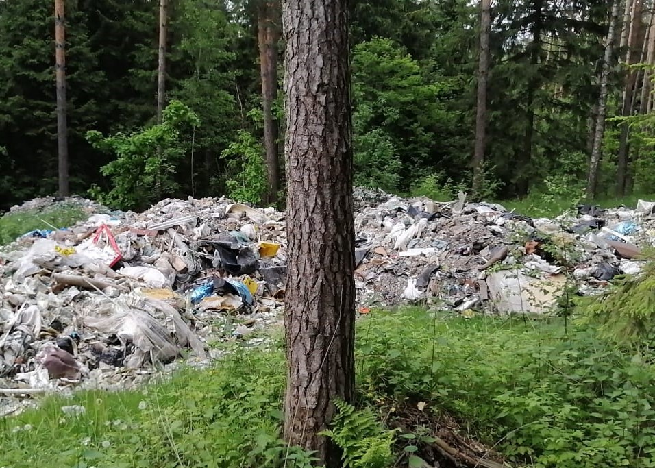 70 кубометров отходов вывезено из ярославских лесов в рамках акции «Очистим лес от мусора» - фото 1