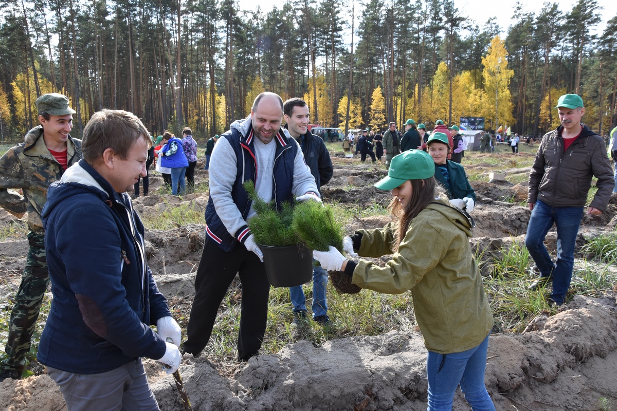 В Рязанской области прошло центральное мероприятие в рамках лесовосстановительной кампании «Сохраним лес» - фото 1