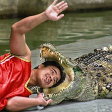 Крокодилы улыбаются и плачут  - фото 5