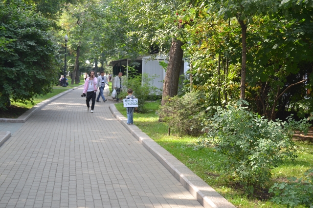 Москвичи предложили вариант озеленения Тверской - фото 20