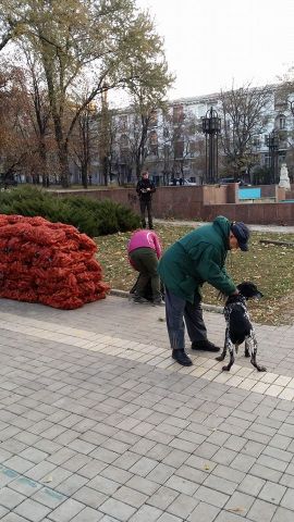 Первые 11 фотографий о выборах в Донецке  - фото 5