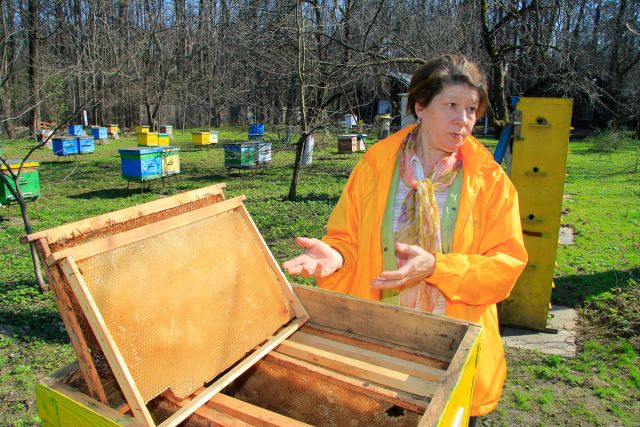 пчеловод-методист объясняет устройство улья-m