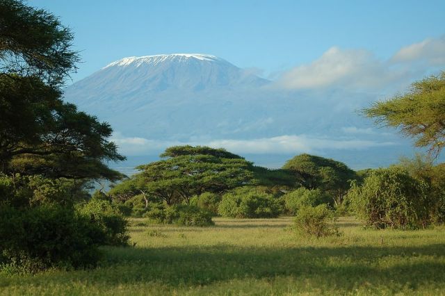 О Пути и вечности...Слоны Килиманджаро - фото 6