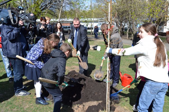 На Вешняковской улице высаживать деревья главному экологу столицы Антону Кульбачевскому помогали дети - фото 21