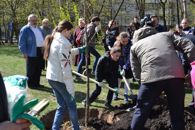 На Вешняковской улице высаживать деревья главному экологу столицы Антону Кульбачевскому помогали дети - фото 23