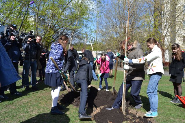 На Вешняковской улице высаживать деревья главному экологу столицы Антону Кульбачевскому помогали дети - фото 26