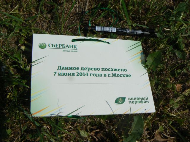 "ЭкоГрад" поприветствовал «Зелёный марафон» Сбербанка от имени экологов  - фото 28