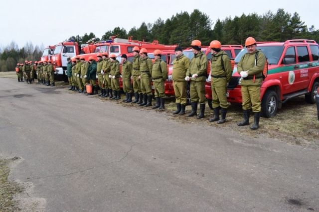 Подразделения ГБУ «Лесозащитный противопожарный центр – Тверьлес» приняли участие в учениях по ликвидации природных пожаров - фото 1