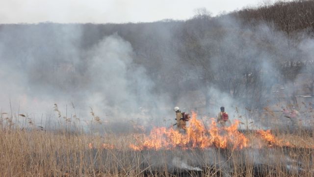 Штрафы за пал травы и ландшафтные пожары для белгородцев увеличились вдвое - фото 1