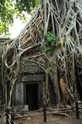 Василий Климов, Ангкор Ват - что он сегодня увидел в своем окне в мир... - фото 3