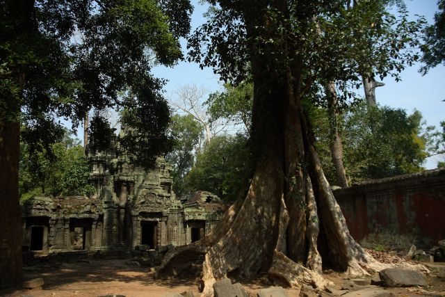 Василий Климов, Ангкор Ват - что он сегодня увидел в своем окне в мир... - фото 5