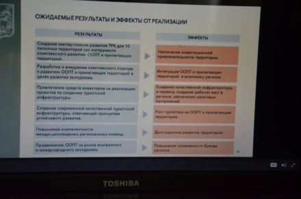 Министерство экологии и природопользования Московской области: стартовал конкурс проектов в сфере экологического туризма - фото 11