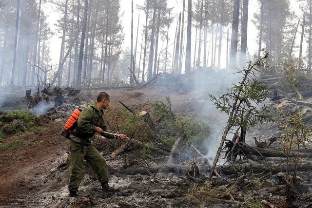 В Госдуме озаботились нехваткой средств у регионов на тушение лесных пожаров. Арендаторов леса предлагают привлечь к тушению пожаров - фото 1