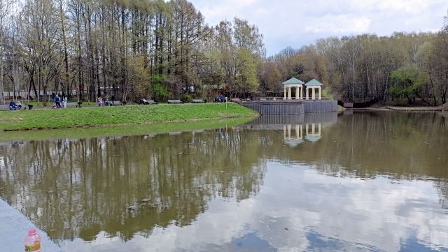 Сакура 2022. Бирюлевский дендропарк - фото 1