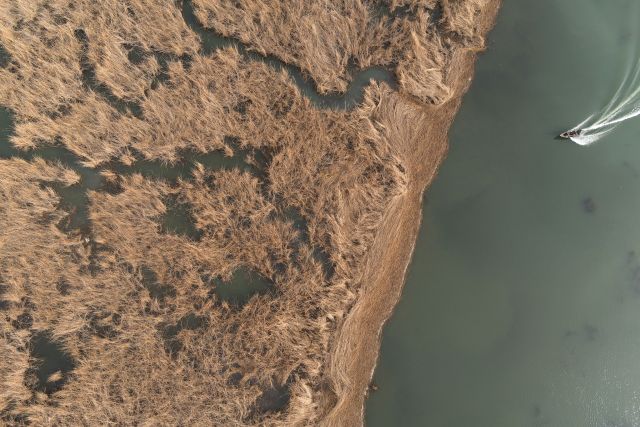 В Республике Дагестан готовят проект восстановления экосистемы Аграханского залива - фото 2
