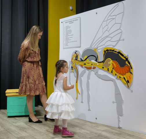 С днём рождения: Мосприрода поздравляет экоцентр «Пчеловодство» с 5-летием - фото 7