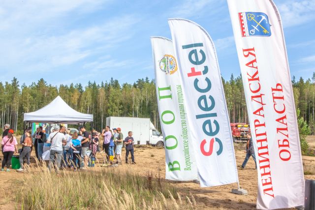 В рамках экологического проекта «Зеленый Selectel» высажено более 120 тысяч деревьев - фото 5