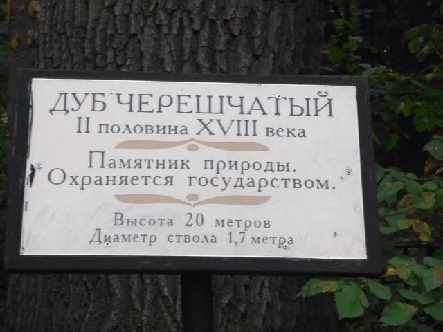 ГПБУ «Мосприрода» показала «ЭкоГраду» Дендросад в парке «Кузьминки-Люблино» - фото 3
