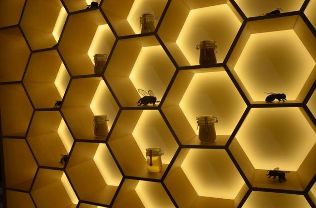 «ЭкоГрад» побывал в умном музее пчелы на ВДНХ - фото 7