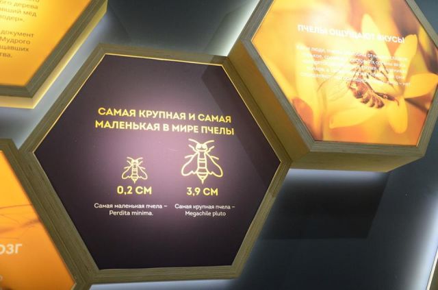 «ЭкоГрад» побывал в умном музее пчелы на ВДНХ - фото 12