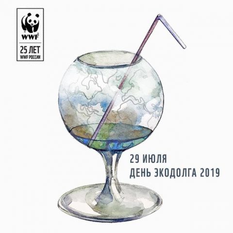 В День экодолга WWF России призывает защитить леса  и перестать покупать лишнее - фото 1