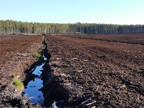 WWF России обеспокоен планами разработки Митогинского месторождения торфа на Камчатке - фото 2