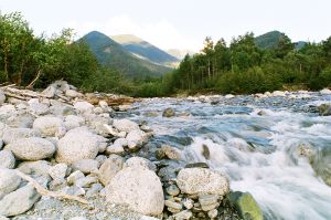 Сто лет одиночества? В России ровно век назад начали существовать государственные заповедники - фото 1