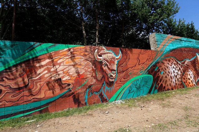 В Нацпарке "Алания" нарисовали 72-метровое граффити WWF России - фото 2