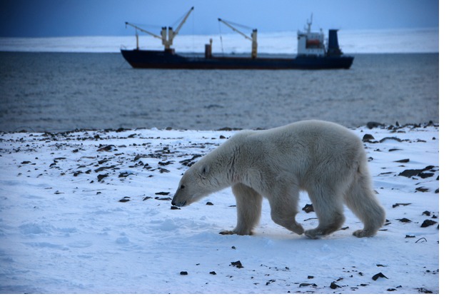 Рабочая группа по защите морской среды (РАМЕ) определила, каким будет судовое топливо в Арктике  - фото 2
