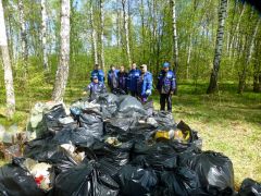 Сотрудники Рязанского лесничества ликвидировали 20 куб. м навалов мусора - фото 1