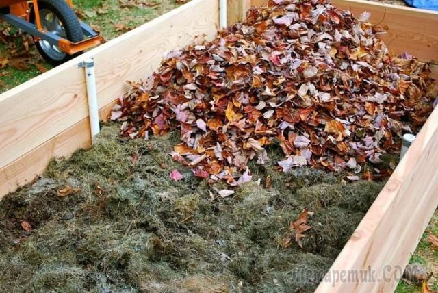 Что делать осенью с опавшими листьями - фото 2
