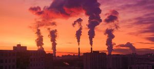 Экологическая политика в Москве: что изменится к 2030 году - фото 1