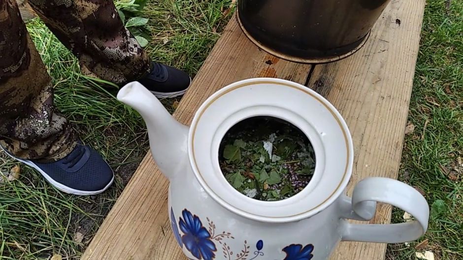 Чай на костре с вареньем и медом. «ЭкоГрад» продолжает большое путешествие по Мещере - фото 3
