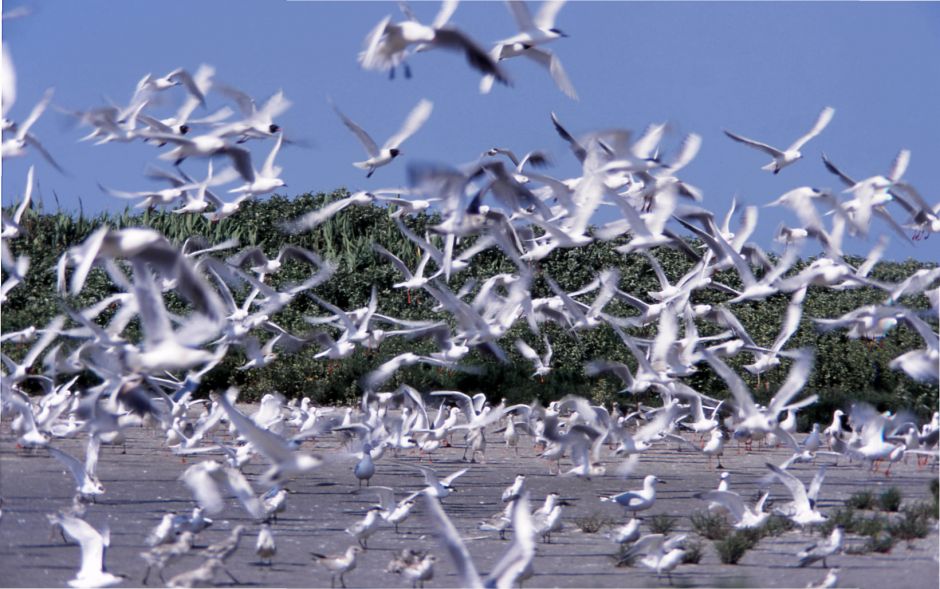 Остров Белой Крачки, Василий Климов. Его окно в мир - фото 2