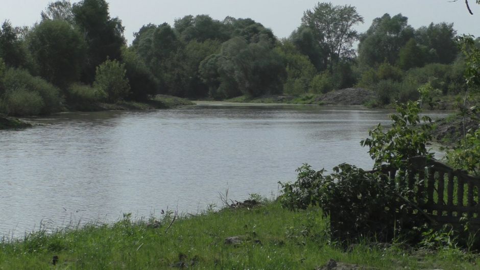 Очистка пруда в Никольском в Татарстане и как это связано с каравоном - фото 5